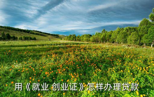 創(chuàng)業(yè)借貸銀行,銀行會(huì)計(jì)分錄借貸怎么分