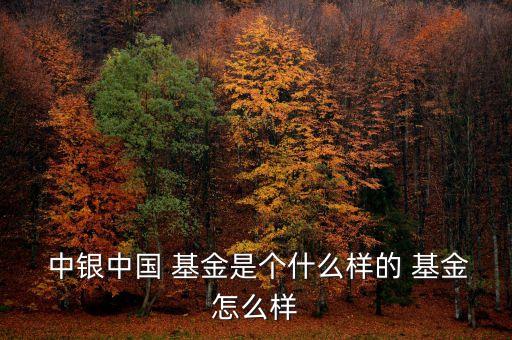 000996中銀新動力基金持倉,中銀新動力000996會漲嗎