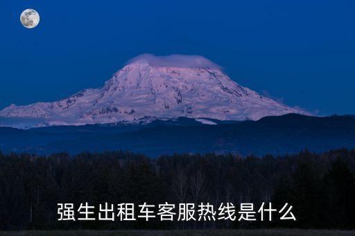 上海申生出租汽車(chē)管理有限公司