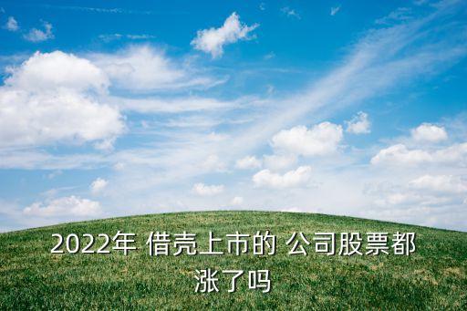 公司借殼后股價(jià)怎么算,公司股價(jià)是怎么算出來(lái)的