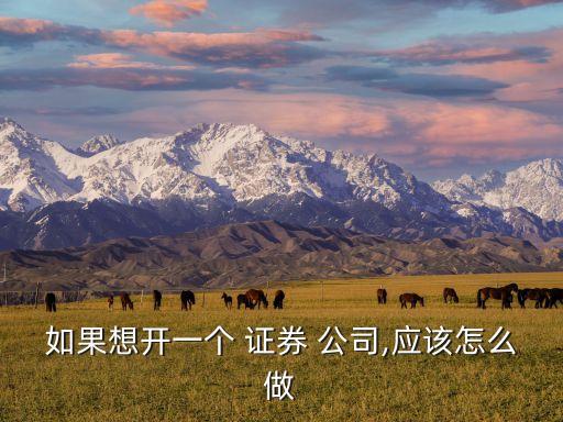 如果想開一個 證券 公司,應(yīng)該怎么做