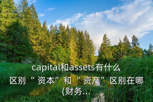 capital和assets有什么區(qū)別“ 資本”和“ 資產(chǎn)”區(qū)別在哪(財(cái)務(wù)...