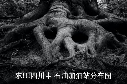 107有中國石油嗎