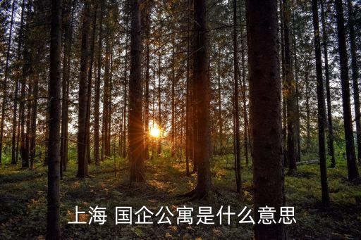  上海 國(guó)企公寓是什么意思
