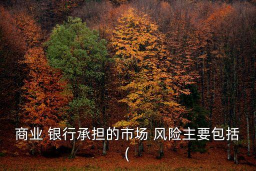 商業(yè) 銀行承擔的市場 風險主要包括(