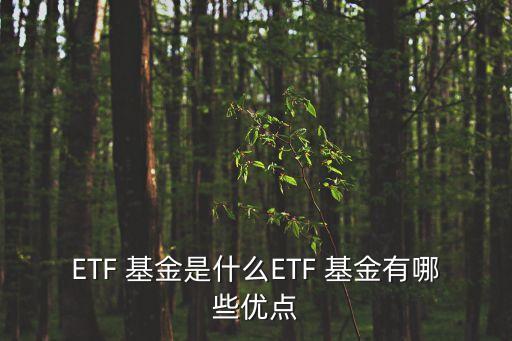 ETF 基金是什么ETF 基金有哪些優(yōu)點(diǎn)