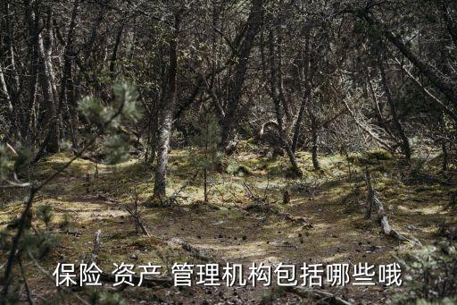 保險 資產 管理機構包括哪些哦