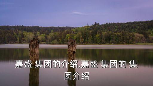 嘉盛 集團(tuán)的介紹,嘉盛 集團(tuán)的 集團(tuán)介紹
