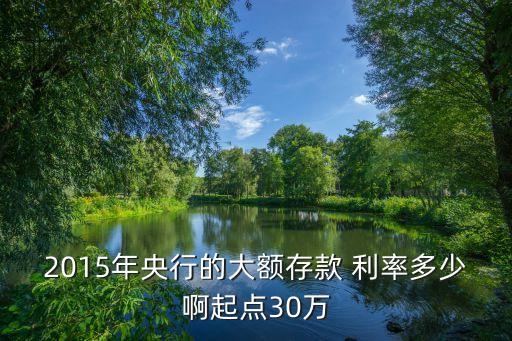 2015年央行的大額存款 利率多少啊起點30萬