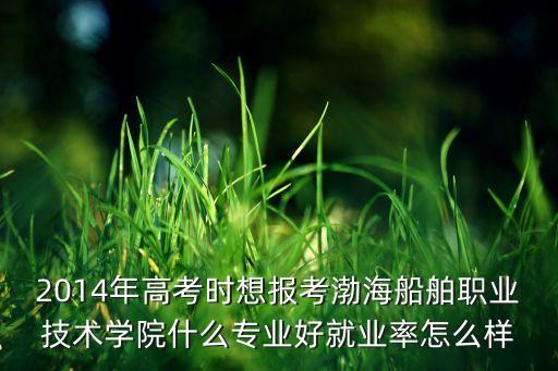2014年高考時(shí)想報(bào)考渤海船舶職業(yè)技術(shù)學(xué)院什么專業(yè)好就業(yè)率怎么樣