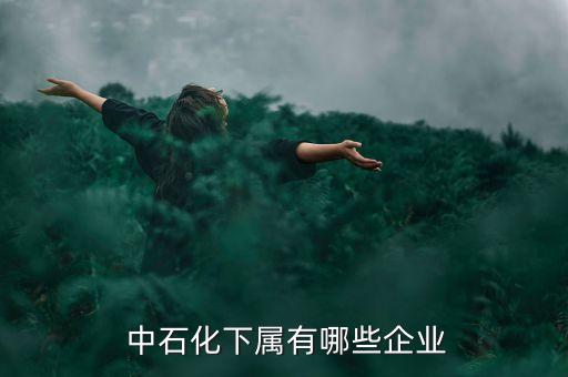  中石化下屬有哪些企業(yè)