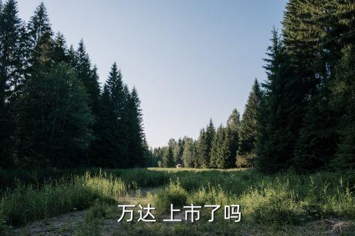  萬達 上市了嗎