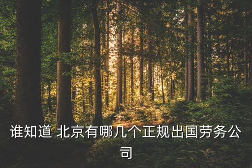 誰知道 北京有哪幾個(gè)正規(guī)出國勞務(wù)公司