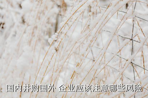 國內(nèi)并購國外 企業(yè)應(yīng)該注意哪些風(fēng)險