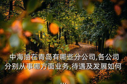  中海油在青島有哪些分公司,各公司分別從事哪方面業(yè)務(wù),待遇及發(fā)展如何...