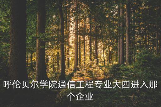 呼倫貝爾學院通信工程專業(yè)大四進入那個企業(yè)