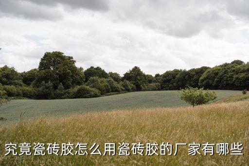 佛山市順德區(qū)德美高進出口有限公司,廣東佛山市順德區(qū)德美化工有限公司