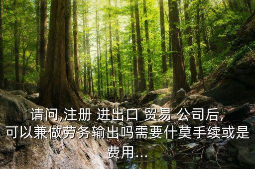 請問,注冊 進(jìn)出口 貿(mào)易 公司后,可以兼做勞務(wù)輸出嗎需要什莫手續(xù)或是費用...
