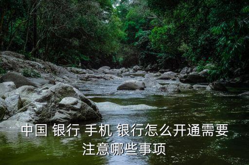 中國(guó) 銀行 手機(jī) 銀行怎么開通需要注意哪些事項(xiàng)
