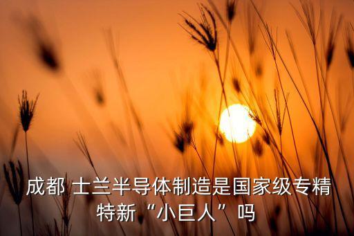  成都 士蘭半導體制造是國家級專精特新“小巨人”嗎