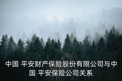 中國 平安財(cái)產(chǎn)保險(xiǎn)股份有限公司與中國 平安保險(xiǎn)公司關(guān)系