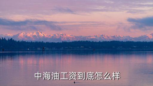 中海油四大分公司收入情況