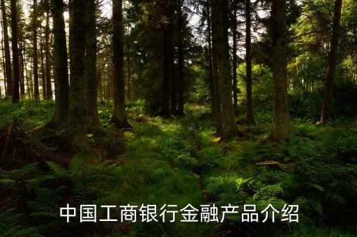 中國(guó)工商銀行金融產(chǎn)品介紹