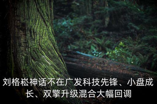 劉格崧神話不在廣發(fā)科技先鋒、小盤成長、雙擎升級混合大幅回調
