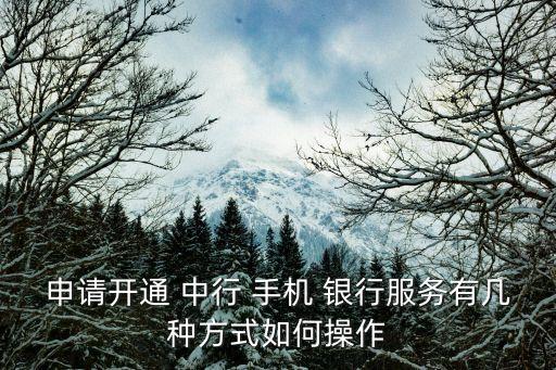 申請(qǐng)開通 中行 手機(jī) 銀行服務(wù)有幾種方式如何操作
