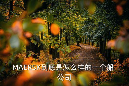 MAERSK到底是怎么樣的一個(gè)船 公司