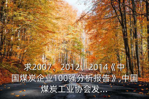 沈煤集團凈資產