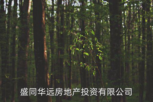 北京盛同華遠(yuǎn)房地產(chǎn)投資有限公司