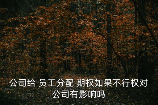 公司給 員工分配 期權(quán)如果不行權(quán)對公司有影響嗎
