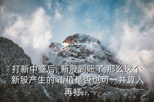 停牌的股票能作為市值申購新股嗎,深圳申購新股對股票市值有什么要求
