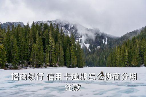 招商銀行信用卡容時(shí)容差