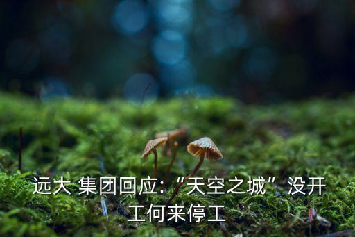  遠(yuǎn)大 集團(tuán)回應(yīng):“天空之城”沒開工何來停工