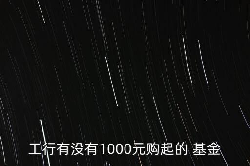 工行有沒有1000元購起的 基金