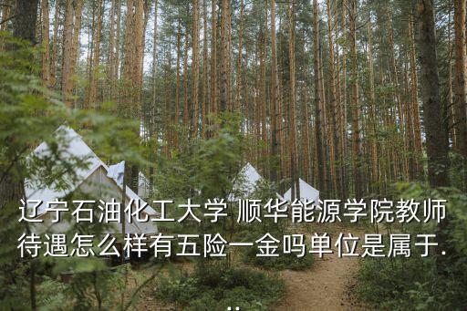 遼寧石油化工大學(xué) 順華能源學(xué)院教師待遇怎么樣有五險一金嗎單位是屬于...