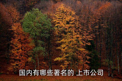 廣東省大型重點(diǎn)國(guó)有企業(yè)上市公司