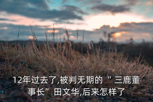 三鹿集團(tuán)倒閉,君樂寶是三鹿集團(tuán)的嗎?
