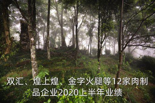雙匯、煌上煌、金字火腿等12家肉制品企業(yè)2020上半年業(yè)績