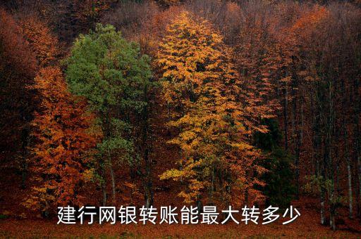 2015年網(wǎng)絡(luò)銀行交易額