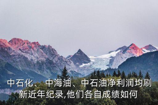 中石化、 中海油、中石油凈利潤(rùn)均刷新近年紀(jì)錄,他們各自成績(jī)?nèi)绾? class=