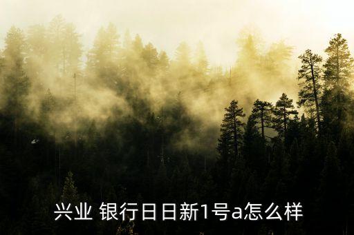  興業(yè) 銀行日日新1號a怎么樣