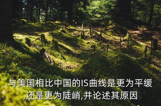 與美國相比中國的IS曲線是更為平緩,還是更為陡峭,并論述其原因