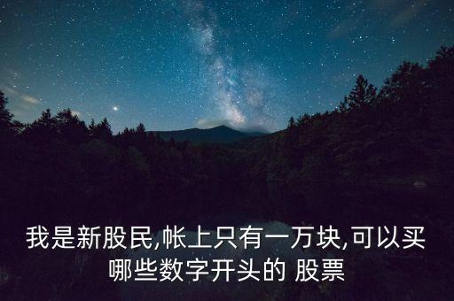 我是新股民,帳上只有一萬塊,可以買哪些數(shù)字開頭的 股票