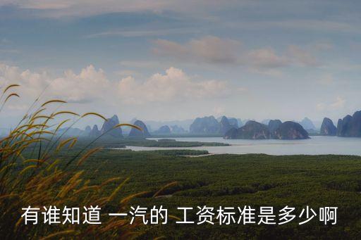 有誰知道 一汽的 工資標(biāo)準(zhǔn)是多少啊