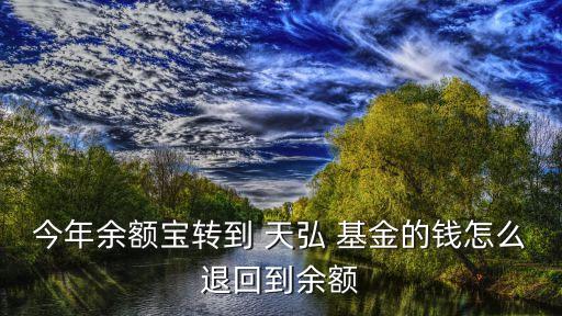 今年余額寶轉(zhuǎn)到 天弘 基金的錢怎么退回到余額