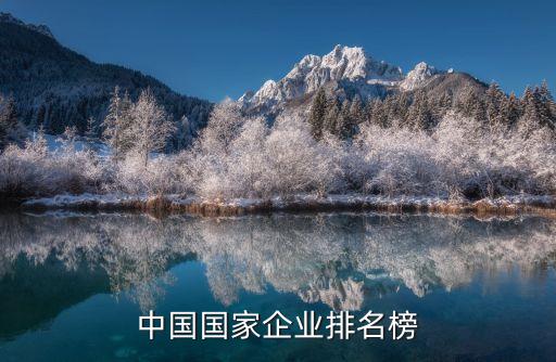 中國國家企業(yè)排名榜