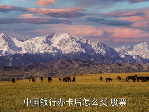 中國銀行股票開戶流程